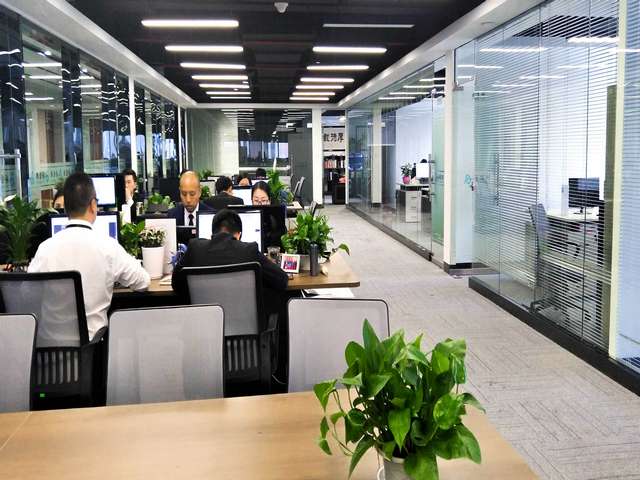 虎丘区肥牛一号报价