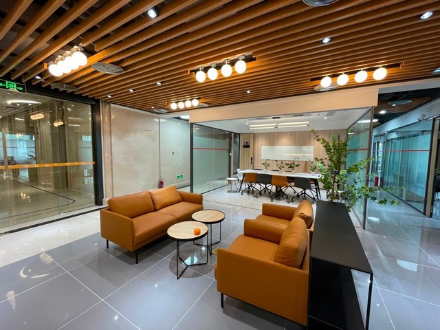 天津带刀皮革去肉机攻略