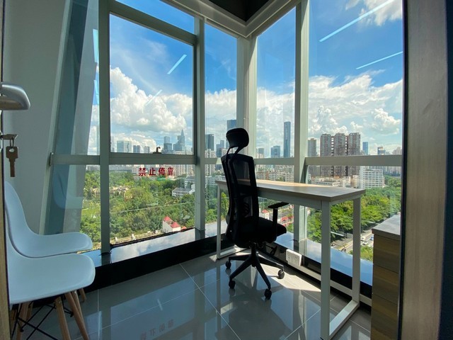 西安各种梨树苗价格