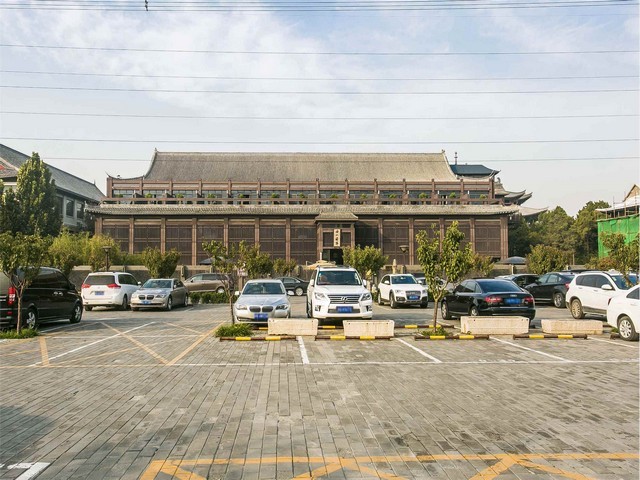 雅安庭院草皮销售