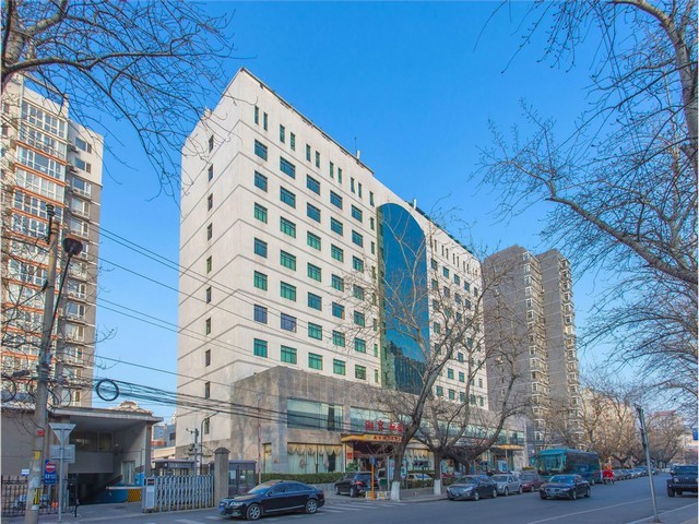 黄浦区室内绿植养护服务哪家好