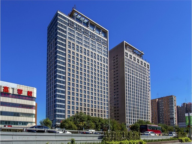 乐山马尼拉草皮基地