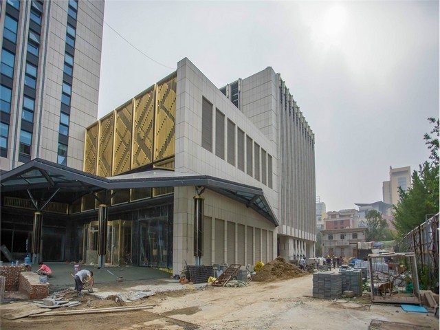 成都湿地跳蚤灭治公司电话